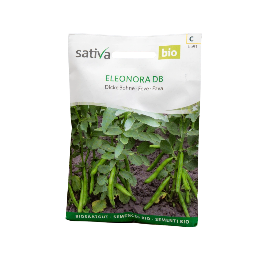 Dicke Bohne Eleonora DB