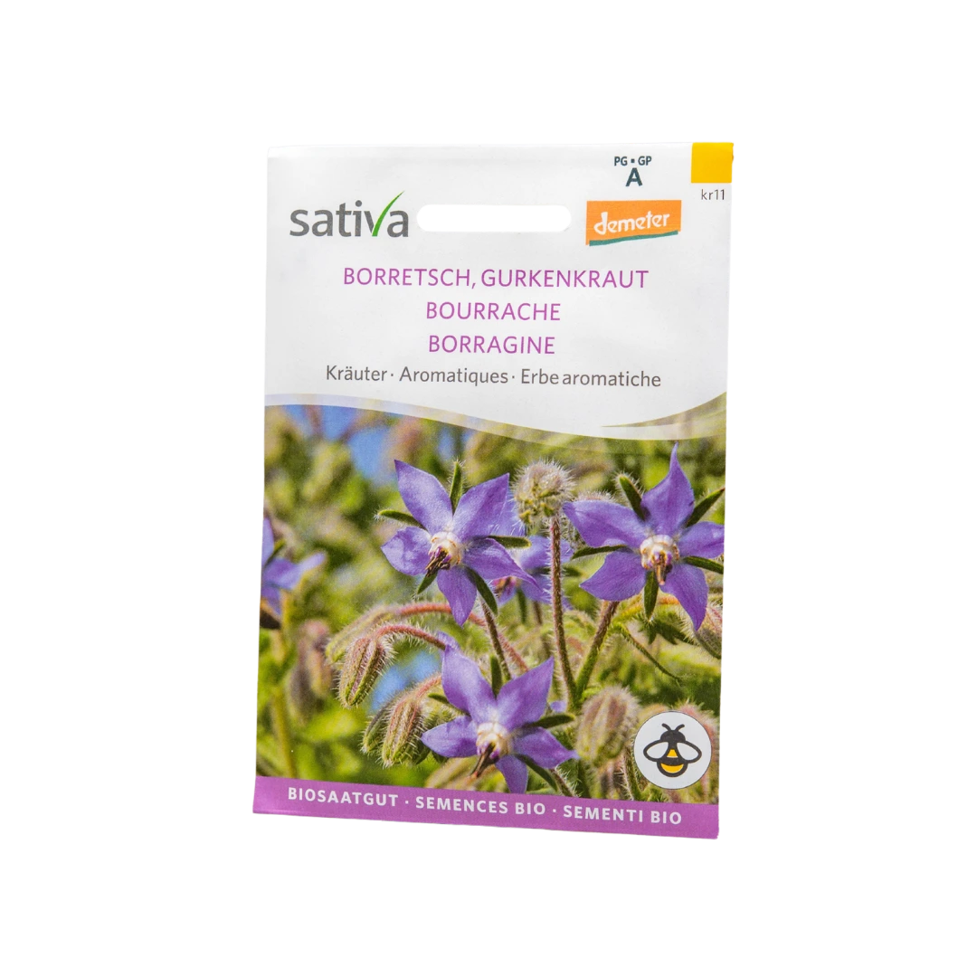 Kräuter Borretsch