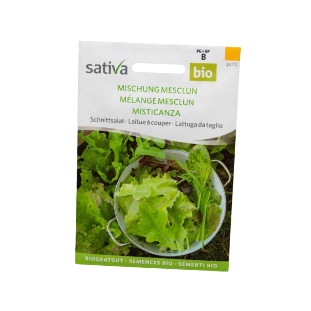 Schnittsalat Mischung Mesclun