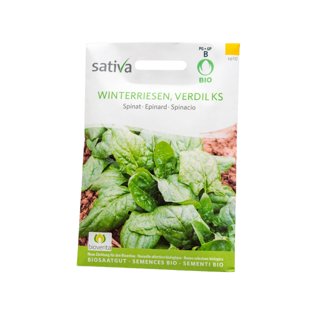 Spinat Winterriesen, Verdil KS