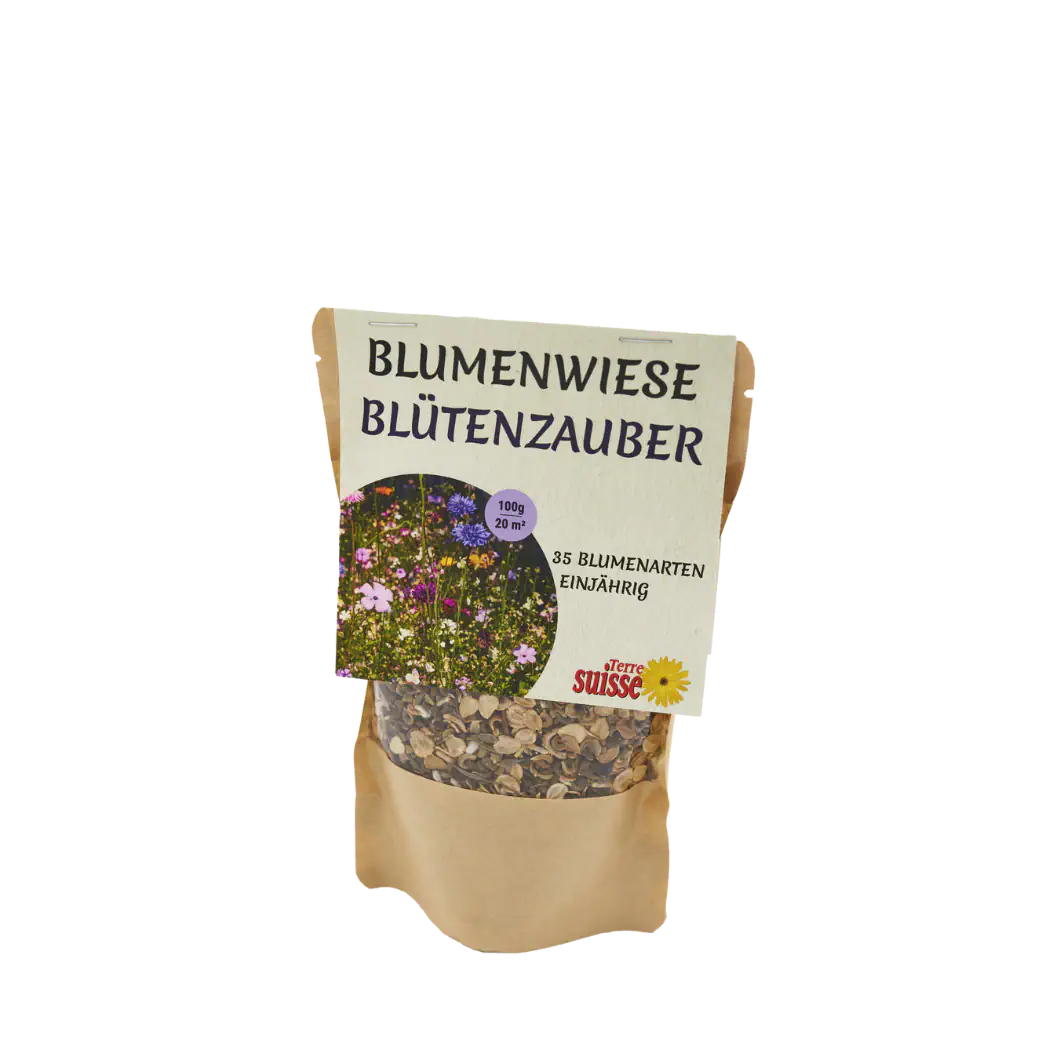 Blumenwiese Blütenzauber