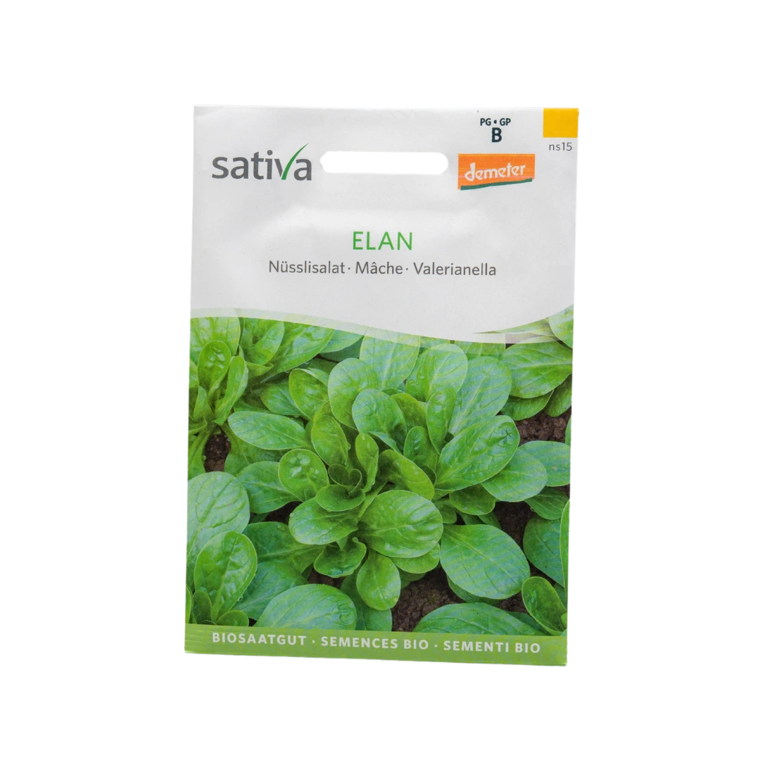 Nüsslisalat Elan