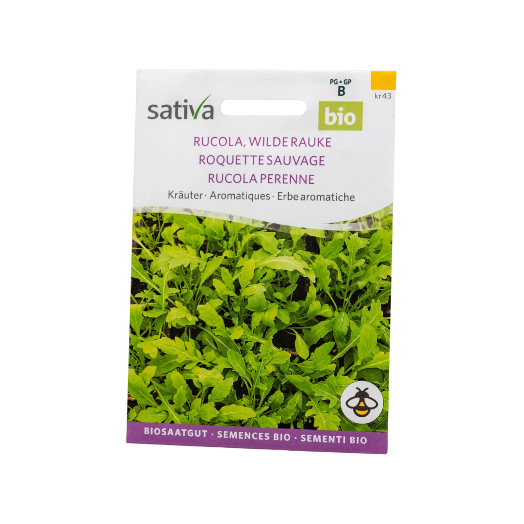 Kräuter Rucola, Wilde Rauke
