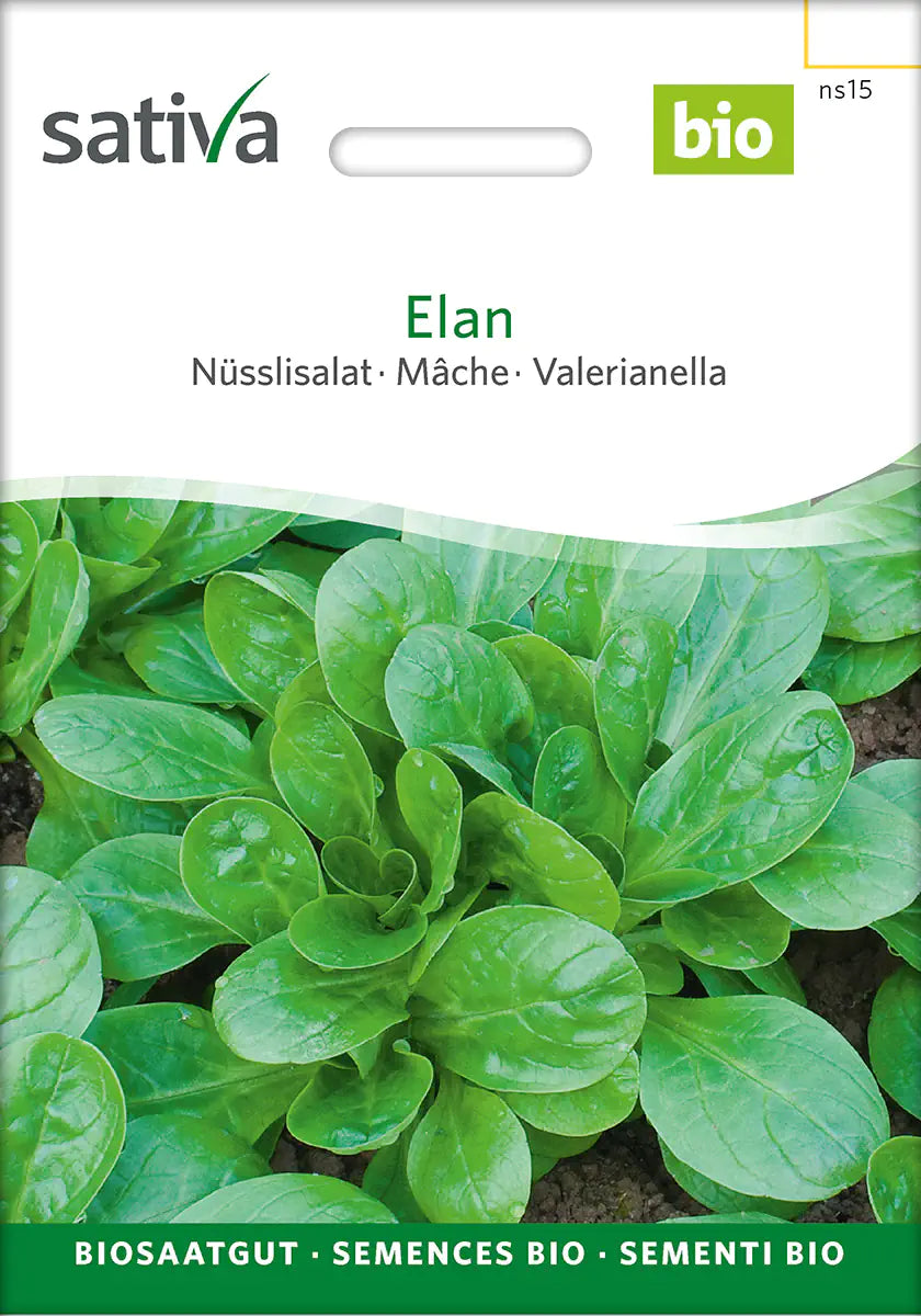 Nüsslisalat Elan