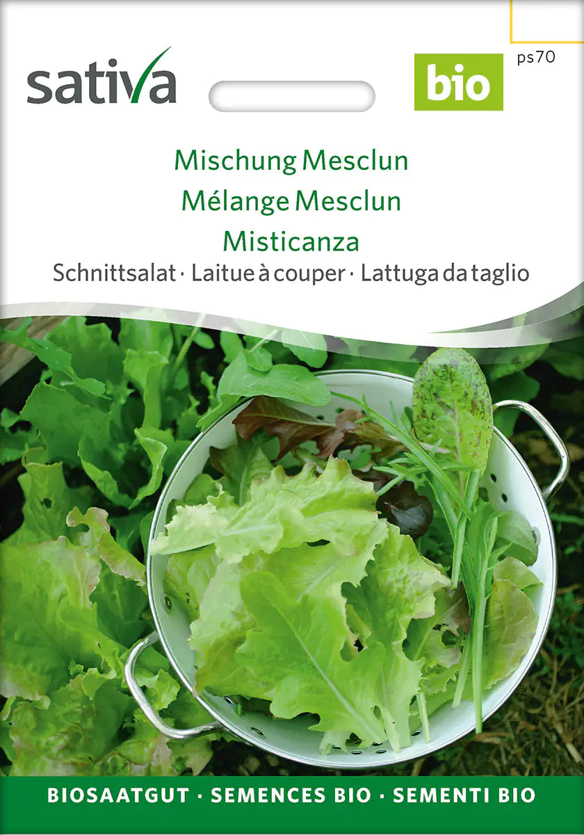 Schnittsalat Mischung Mesclun