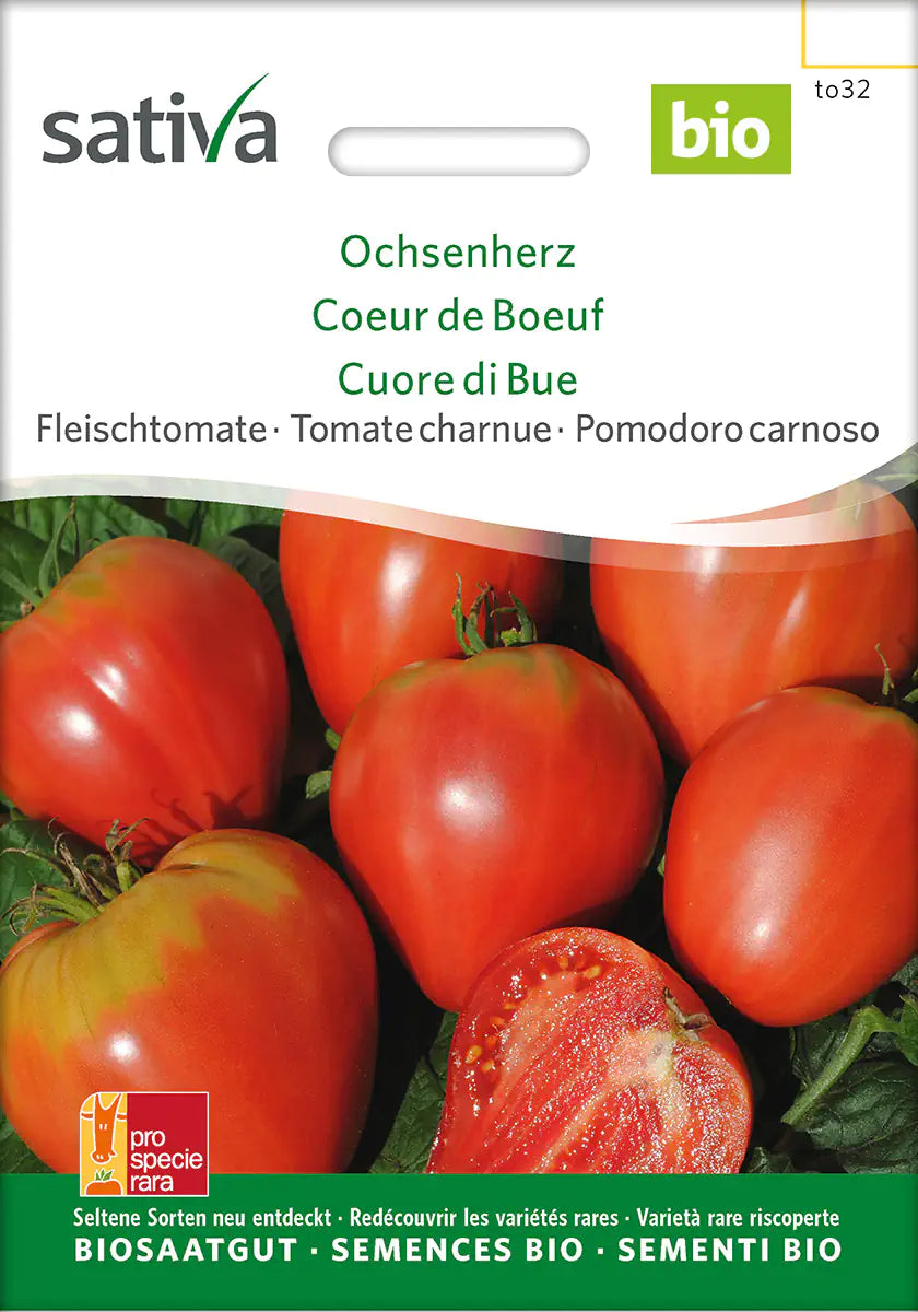 Fleischtomate Ochsenherz