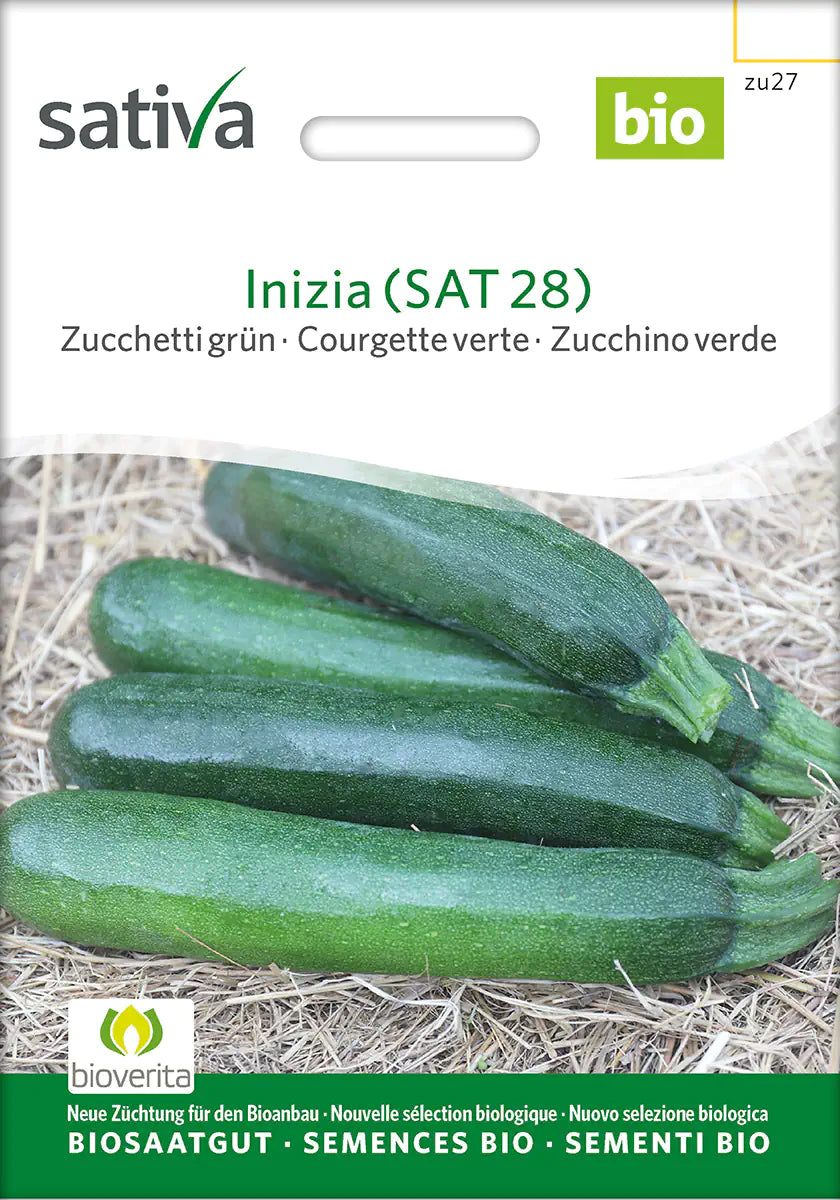 Zucchetti grün Inizia (SAT 28)